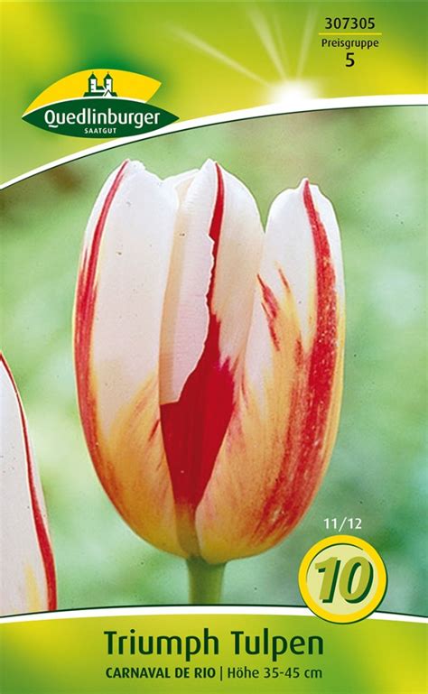 Triumph Tulpe Carnaval De Rio St Ck Triumph Tulpen Von