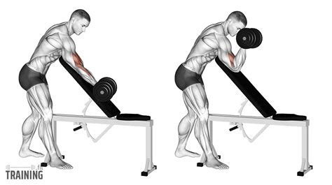 Incline Bench Preacher Curls - Instructions, Information & Alternatives ...