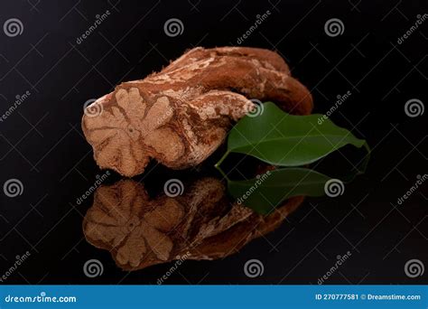 Banisteriopsis Caapi Ayahuasca Stock Image Image Of Altering