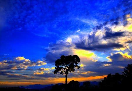 Beautiful Blue & Yellow Sunset - Sky & Nature Background Wallpapers on ...