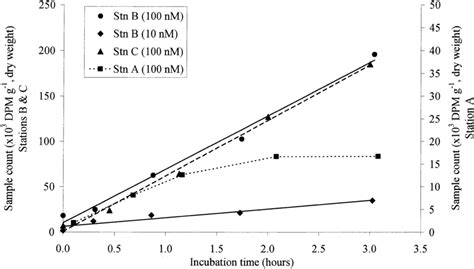 Time Course Of Incorporation Of 3 H Thymidine DPM G 1 Into DNA In