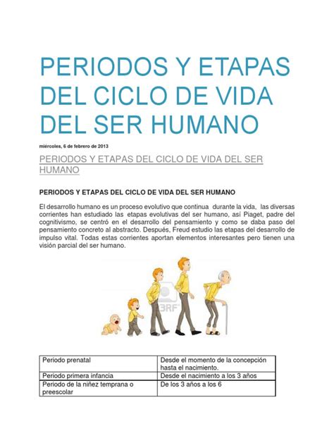 Periodos Y Etapas Del Ciclo De Vida Del Ser Humano Bienestar Medicina