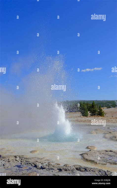 Sawmill Geysir Hi Res Stock Photography And Images Alamy