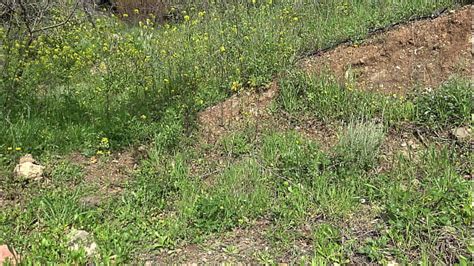 Saudi Arabia Videos XVIDEOS