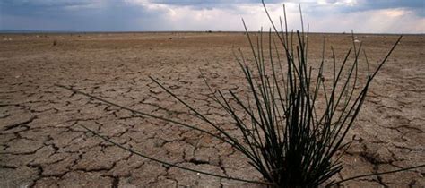 El Periódico De México Noticias De México Ecologiacontaminacion