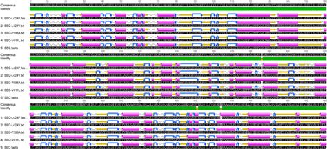 Secondary Structure Prediction Of The POLE Wild And Mutant Sequences