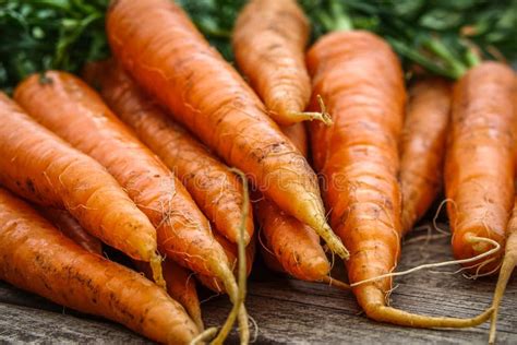 Bundle Of Carrots Parsnip And Sweet Potato On A Rustic Table Stock