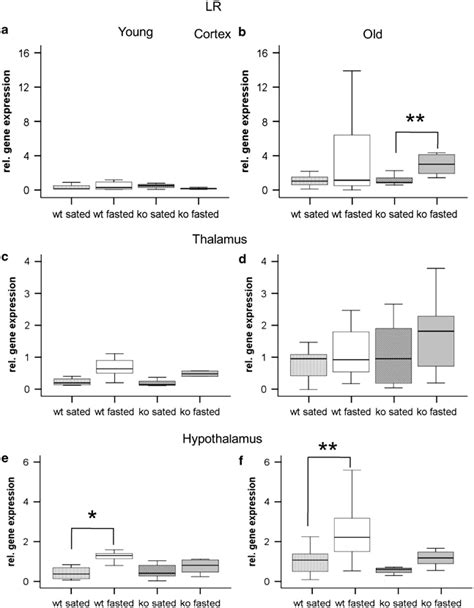 The Boxplots Illustrate The Relative Gene Expression Of Leptin Receptor