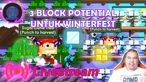 Block Yang Sering Membuat Anda Profit Di Winterfest Dan Bulan Ini No