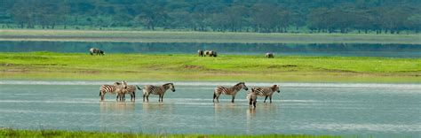 Days Tanzania Private Safari Exploring Best Tanzania Travel