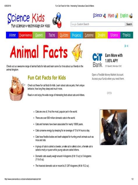 Fun Cat Facts for Kids - Interesting Facts About Cats & Kittens | Felis ...