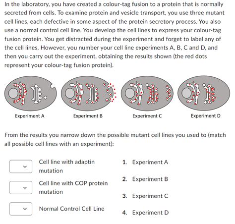 Solved In The Laboratory You Have Created A Colour Tag Chegg