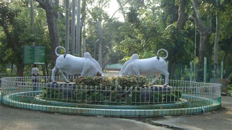 Botanical Garden, Pondicherry| Botanical Garden Photos and Timings