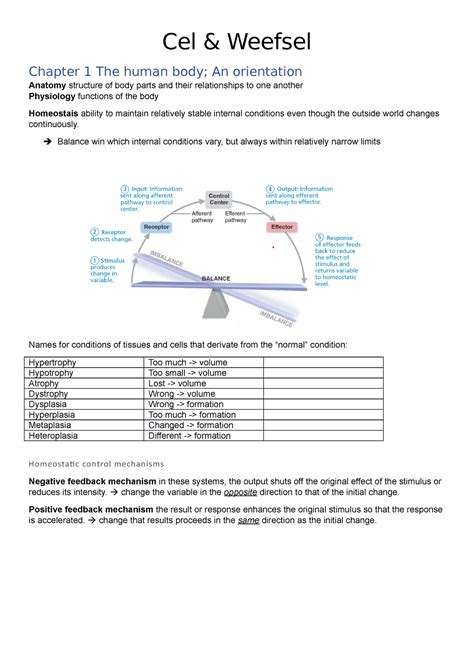 Cel Weefsel Samenvatting Cel Weefsel Chapter 1 The Human Body An