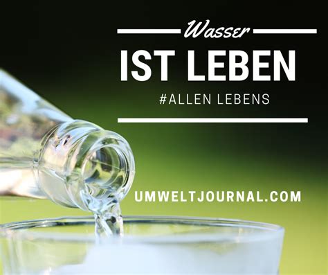 Wasser Ist Leben Grundlage Allen Lebens