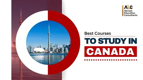 Best Courses to Study in Canada - AEC