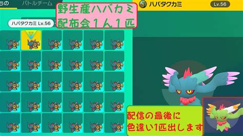 【ポケモンsv】野生産通常色ハバタクカミ配布会。配信最後の1匹だけイロチです Youtube