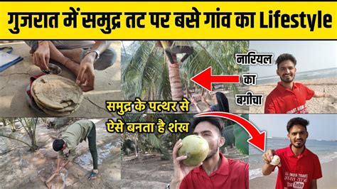 गुजरात में समुद्र तट पर बसे गांव का जीवन Coconut Farming Village