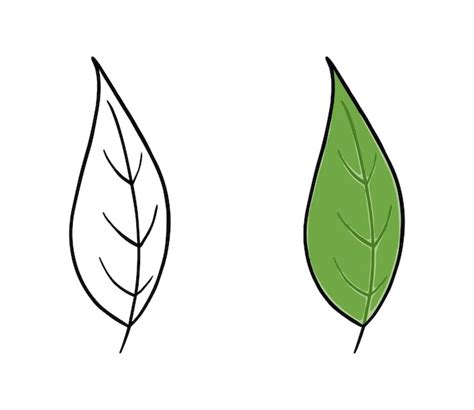 Hoja de un árbol planta naturaleza doodle dibujos animados para ...