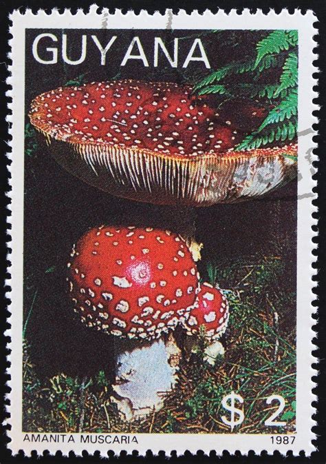 1987 Mushroom Postage Stamps Guyana Used Vintage Postal Etsy