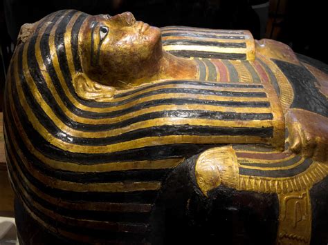 jaipur  year  egyptian mummy unboxed   years  save