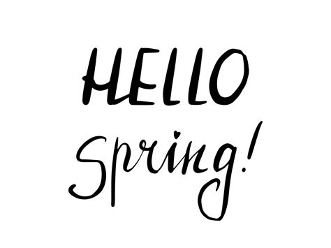 Hand Lettering Hello Spring Vector Hand Drawn Phrase 17458202 Vector