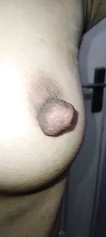 Hot Pussy Xhamster
