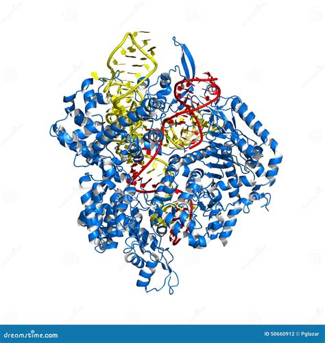 Crispr Cas9 Animation