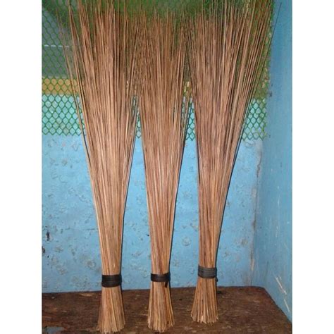 Walis Tingting Regular Size Coconut Stick Shopee Philippines