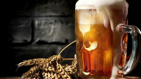 Descubre los datos más curiosos sobre la cerveza