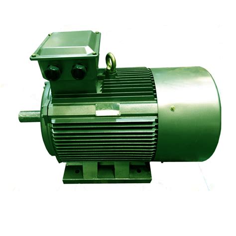 185kw 25hp 380v 400v 3000rpm 3 Phase Induction Brushless Ac Motor