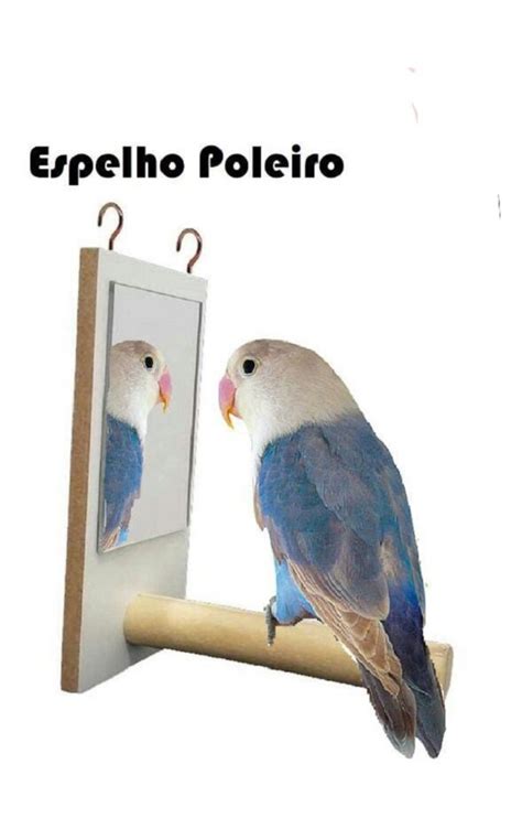 Brinquedo Para Calopsita Periquito Agapornis Espelho Poleiro