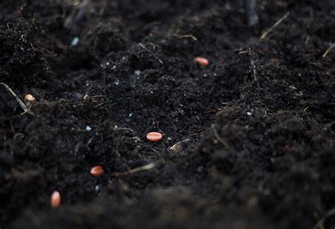 A Widespread Pesticide Causes Weight Loss and Delayed Migration in