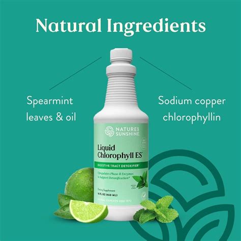 Natures Sunshine Liquid Chlorophyll Immunity Support Detox