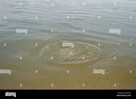 Turbid water hi-res stock photography and images - Alamy