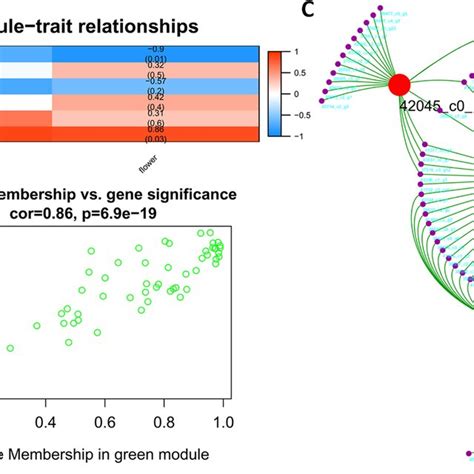 Weighted Gene Coexpression Network Analysis Wgcan A Gene Modules