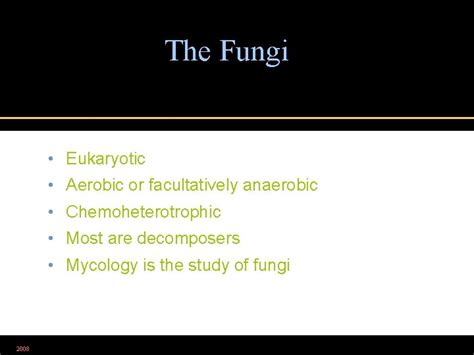 Microbiology Chapter The Eukaryotes Fungi Algae Protozoa