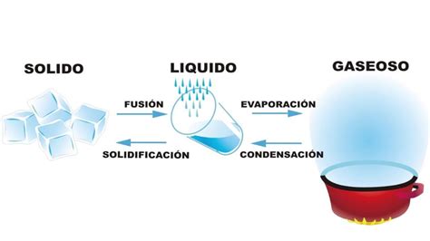 Ejemplos De Estado De La Materia