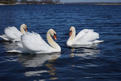 Pangbourne | West Berkshire Villagers
