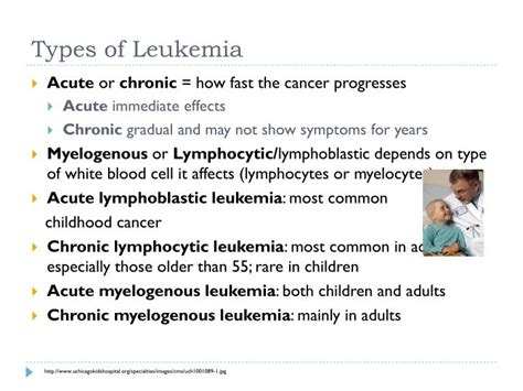 PPT - Leukemia PowerPoint Presentation - ID:5456943