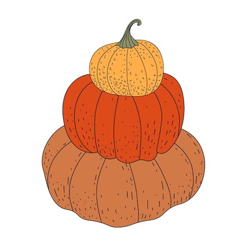 Premium Vector Pumpkin Set Of Pumpkins Harvesting Farm Holiday