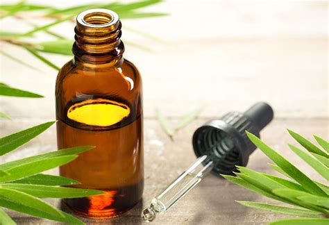 How To Apply Tea Tree Oil To Warts Finest Essential Oils For Warts