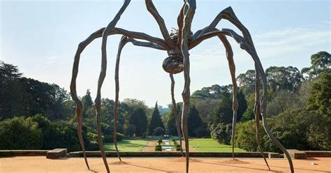 Web of intrigue as giant spider legs it to Australia | The Canberra ...