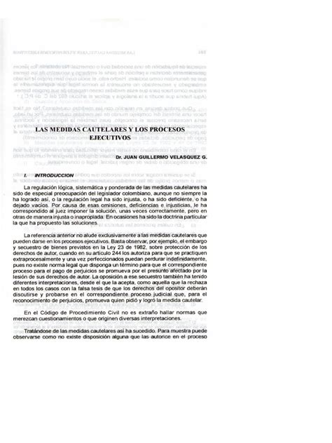 Pdf Las Medidas Cautelares Y Los Procesos Ejecutivos Pdf