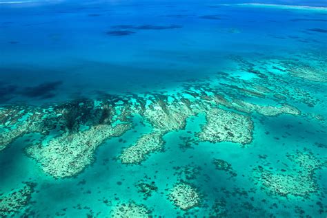 Queensland's Natural Mosaic: Rainforests, Reefs, and Beyond | Oaks Hotels