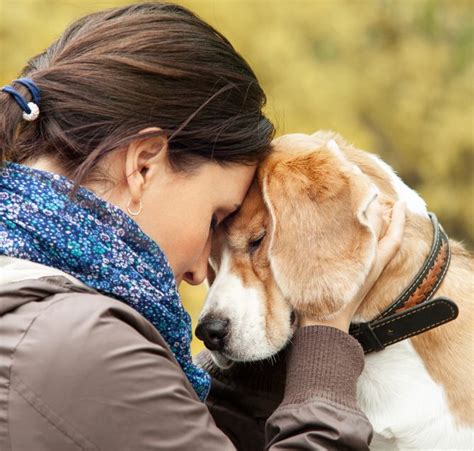 Pet Food Institute Supports Human-Animal Bond Research | Pet Age