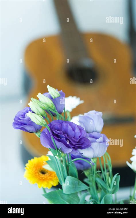 Flowers and guitar Stock Photo - Alamy