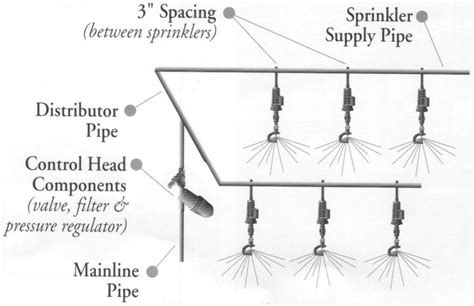 Misting Setup Diy Greenhouse Greenhouse Plans Greenhouse Farming