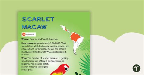 Scarlet Macaw Endangered Animal Poster Teach Starter