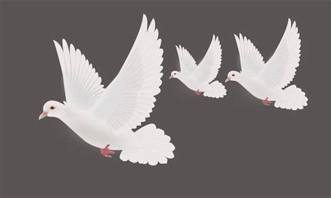 Premium Vector Flying White Pigeons Realistic Vector